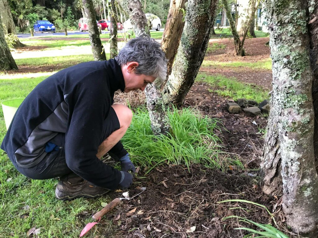 Removing of Weed