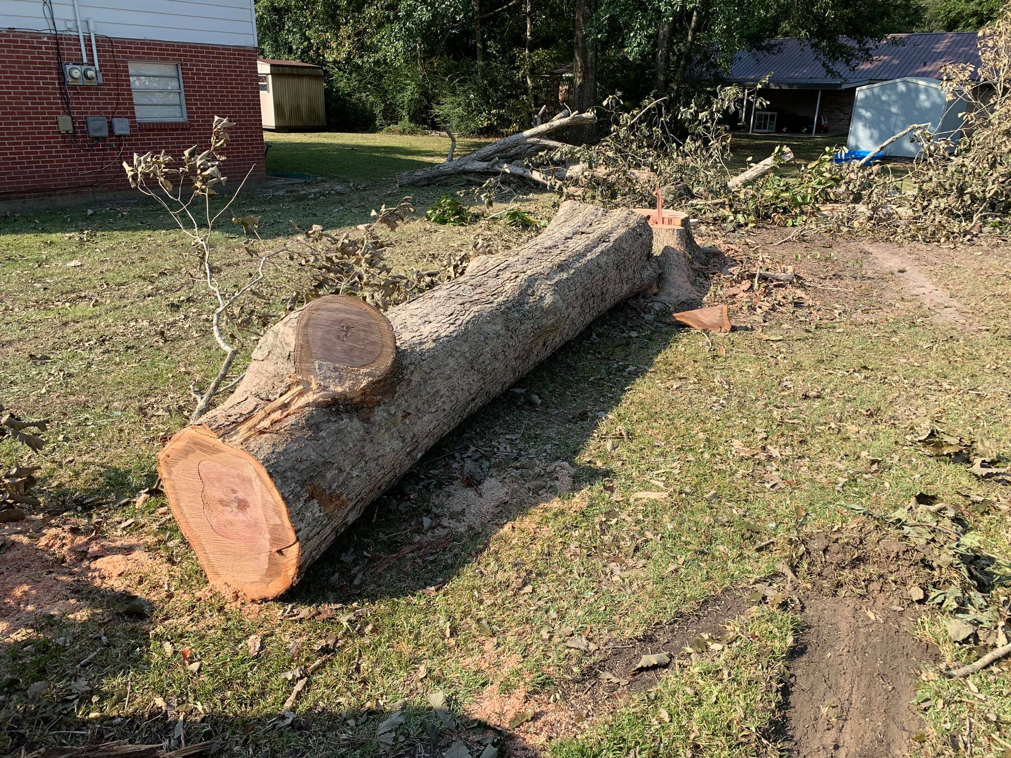 Residential Tree Removal Service