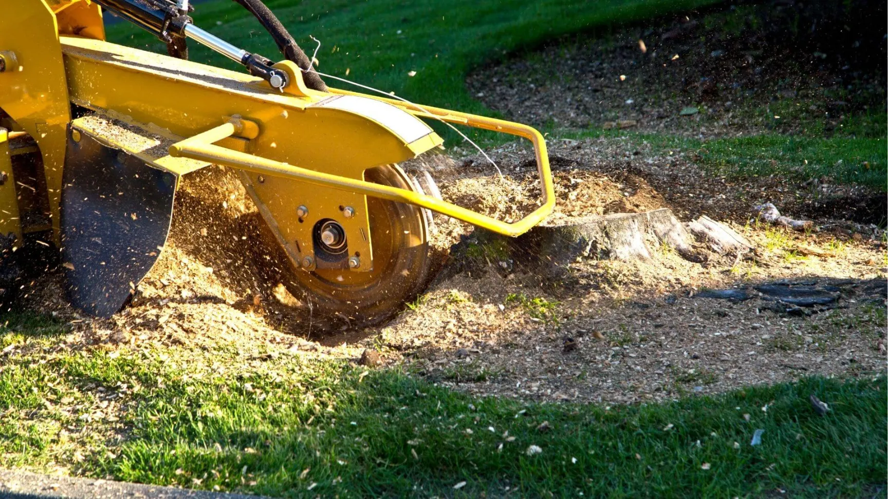 tool used to grind stump