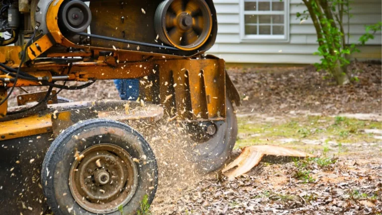 stump grinding equipment grinding stump after tree removal