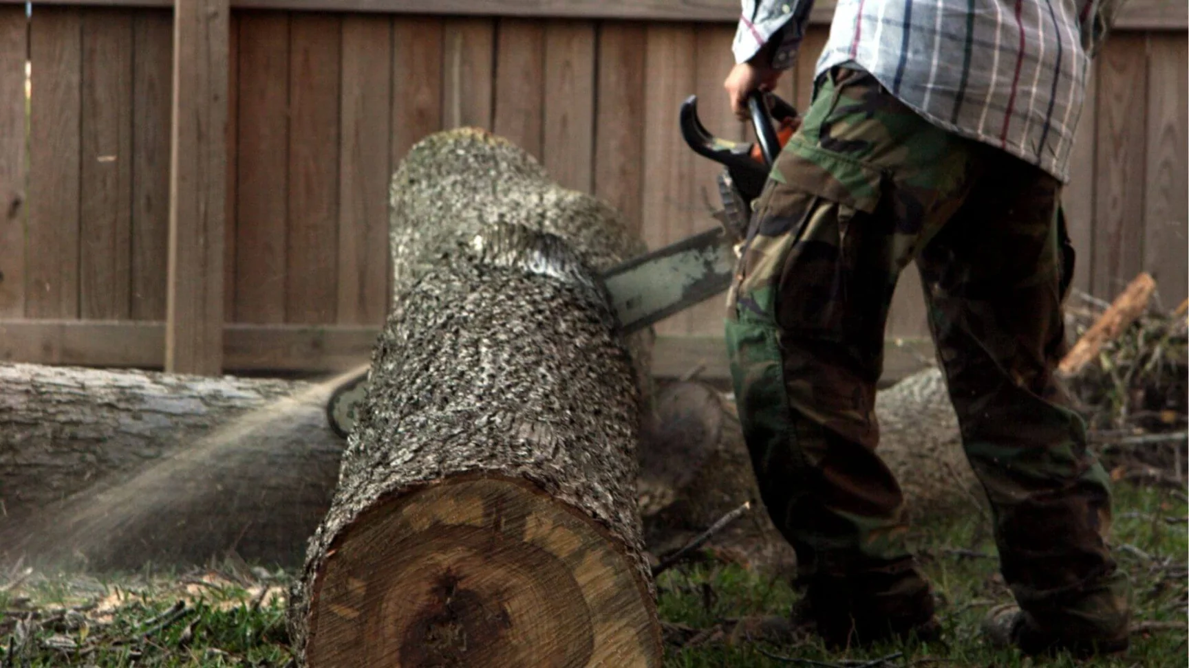 professional sawing tree into pieces