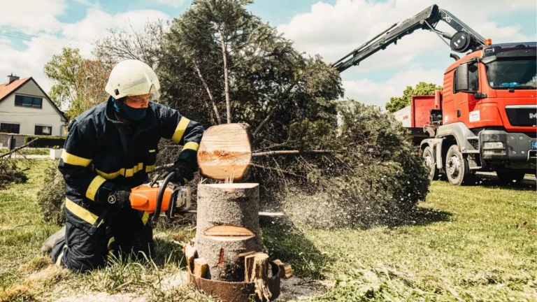 professional cutting down tree