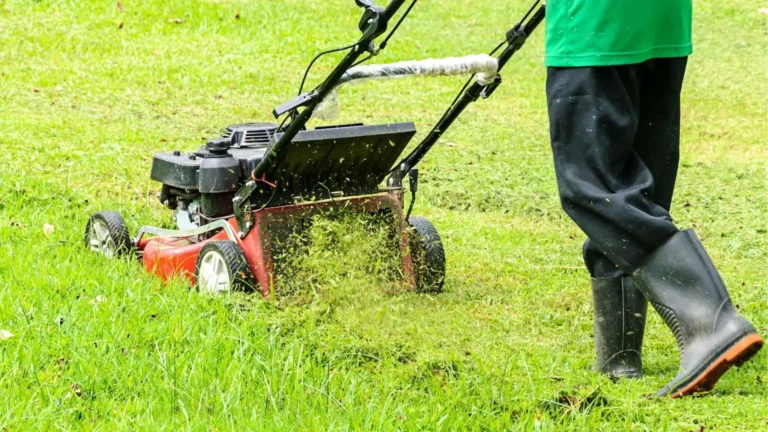 professional mowing weeds with a lawnmower