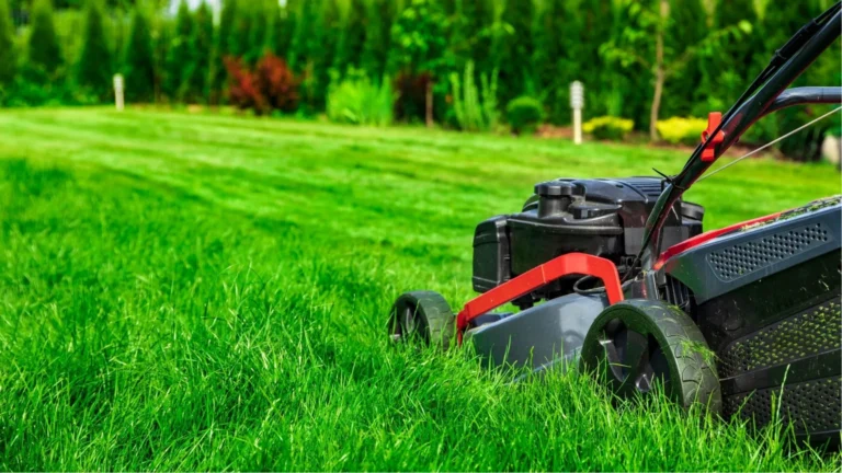 weed mowing machine