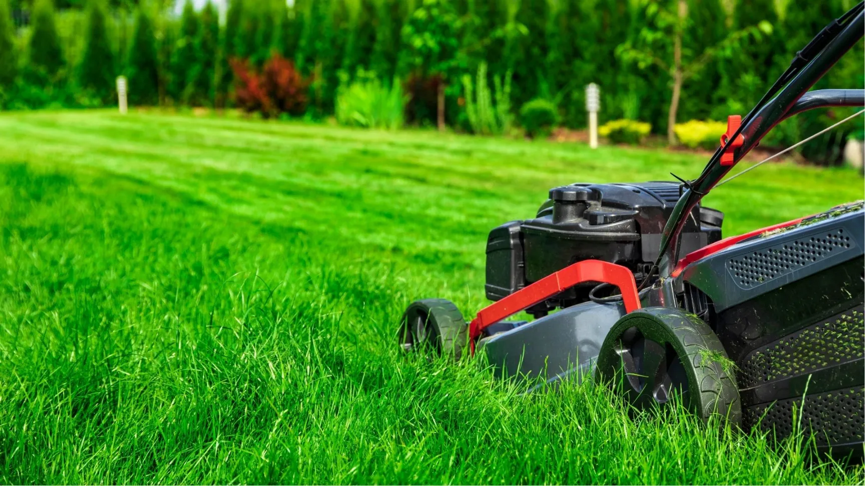 weed mowing machine