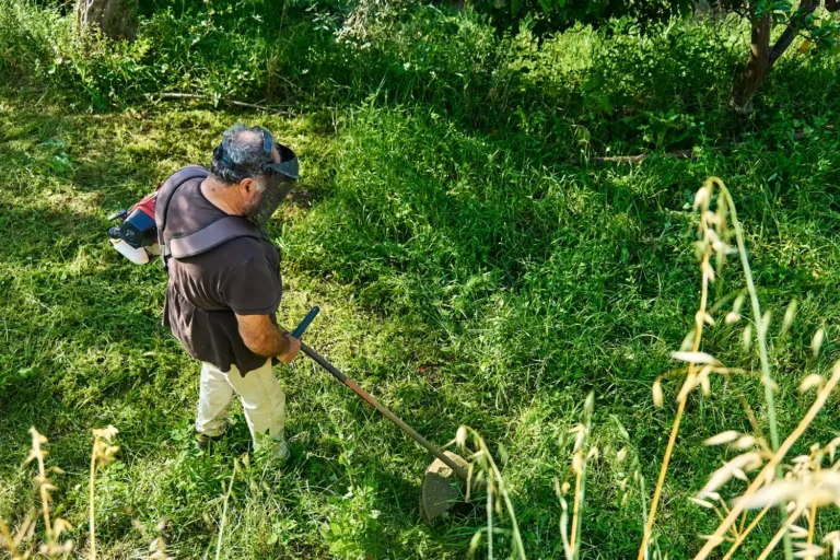 professional mowing weeds