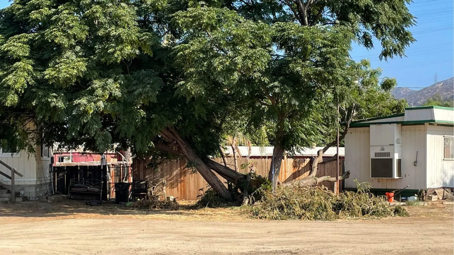 Large leaning tree over a residential lot in the Redding area