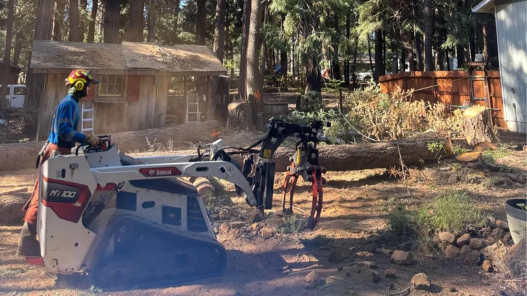 Heavy machinery moves large trunk pieces during tree removal.